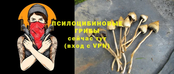 спайс Беломорск